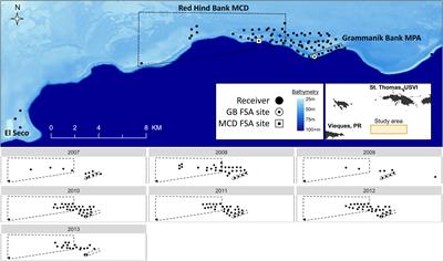 Acoustic telemetry provides insights for improving conservation and management at a spawning aggregation site of the endangered Nassau grouper (Epinephelus striatus)